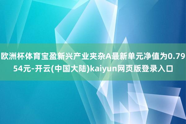 欧洲杯体育宝盈新兴产业夹杂A最新单元净值为0.7954元-开云(中国大陆)kaiyun网页版登录入口